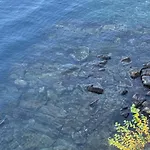 Casa 公寓 佩尔莱多